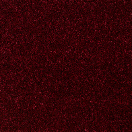 Eastbourne Carpet