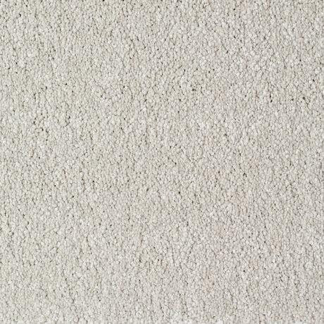 Eastbourne Carpet