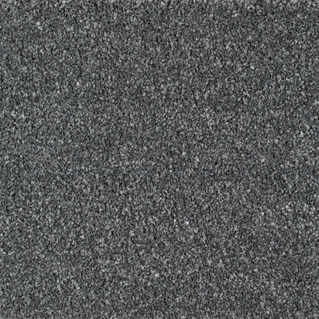 Eastbourne Carpet