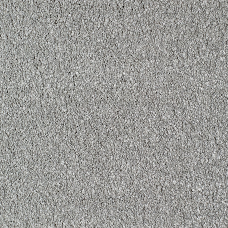 Eastbourne Carpet
