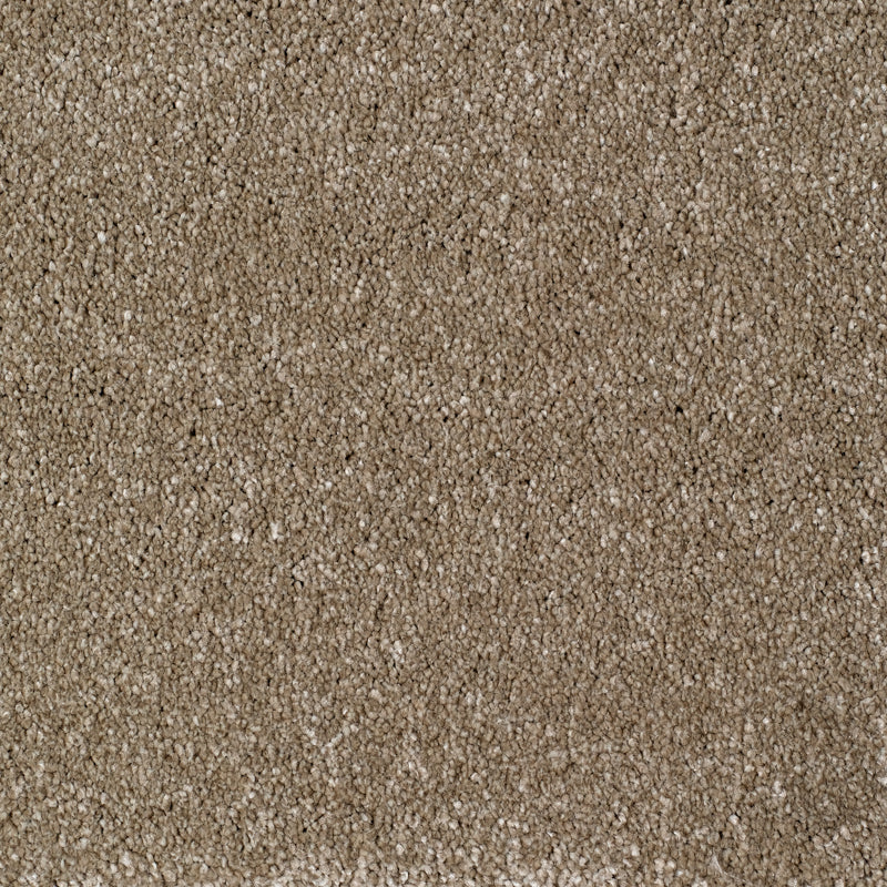 Eastbourne Carpet