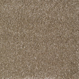 Eastbourne Carpet