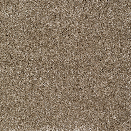 Eastbourne Carpet