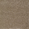 Eastbourne Carpet