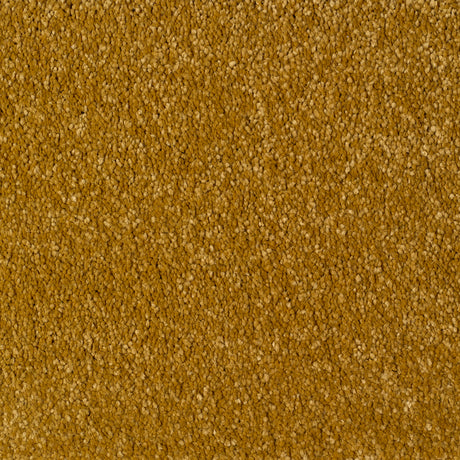 Eastbourne Carpet