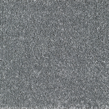 Eastbourne Carpet