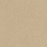 Evoke Vinyl