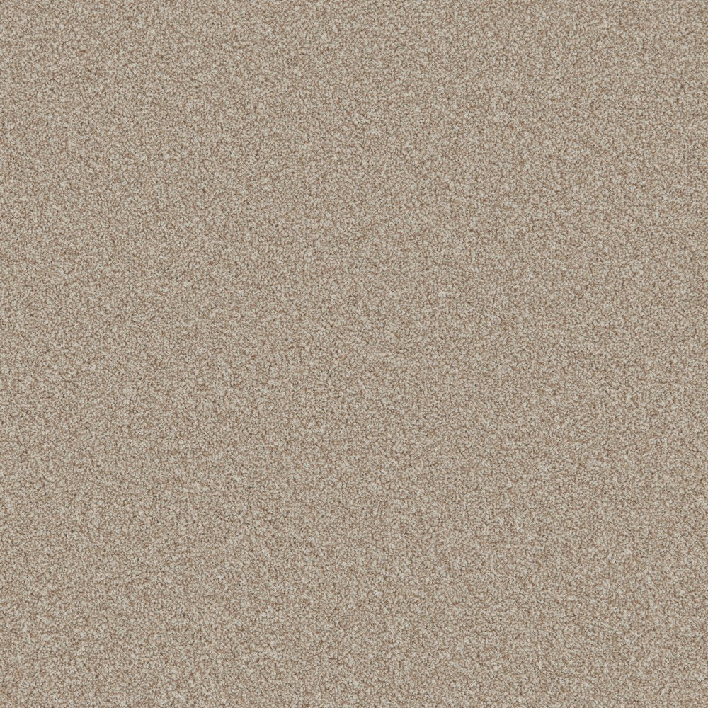 Carefree Ultra Café Crème