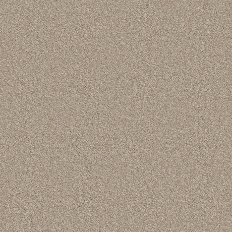 Carefree Ultra Café Crème