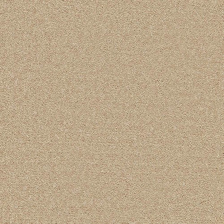 Enchantment Elite Clouded Beige