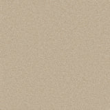 Enchantment Elite Ivory Mist