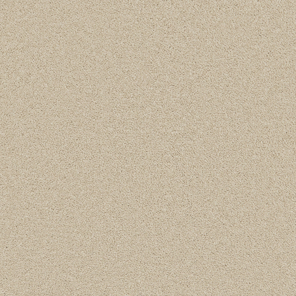 Enchantment Elite Moonstone Beige