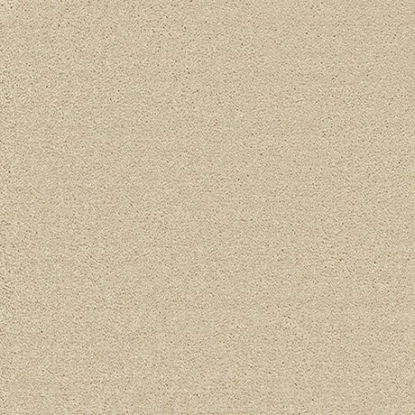 Enchantment Luxe Cryptic Wood