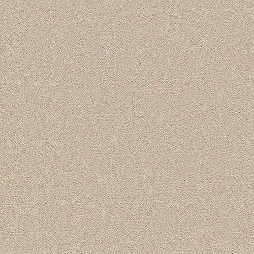 Enchantment Twist Tortoise Shell