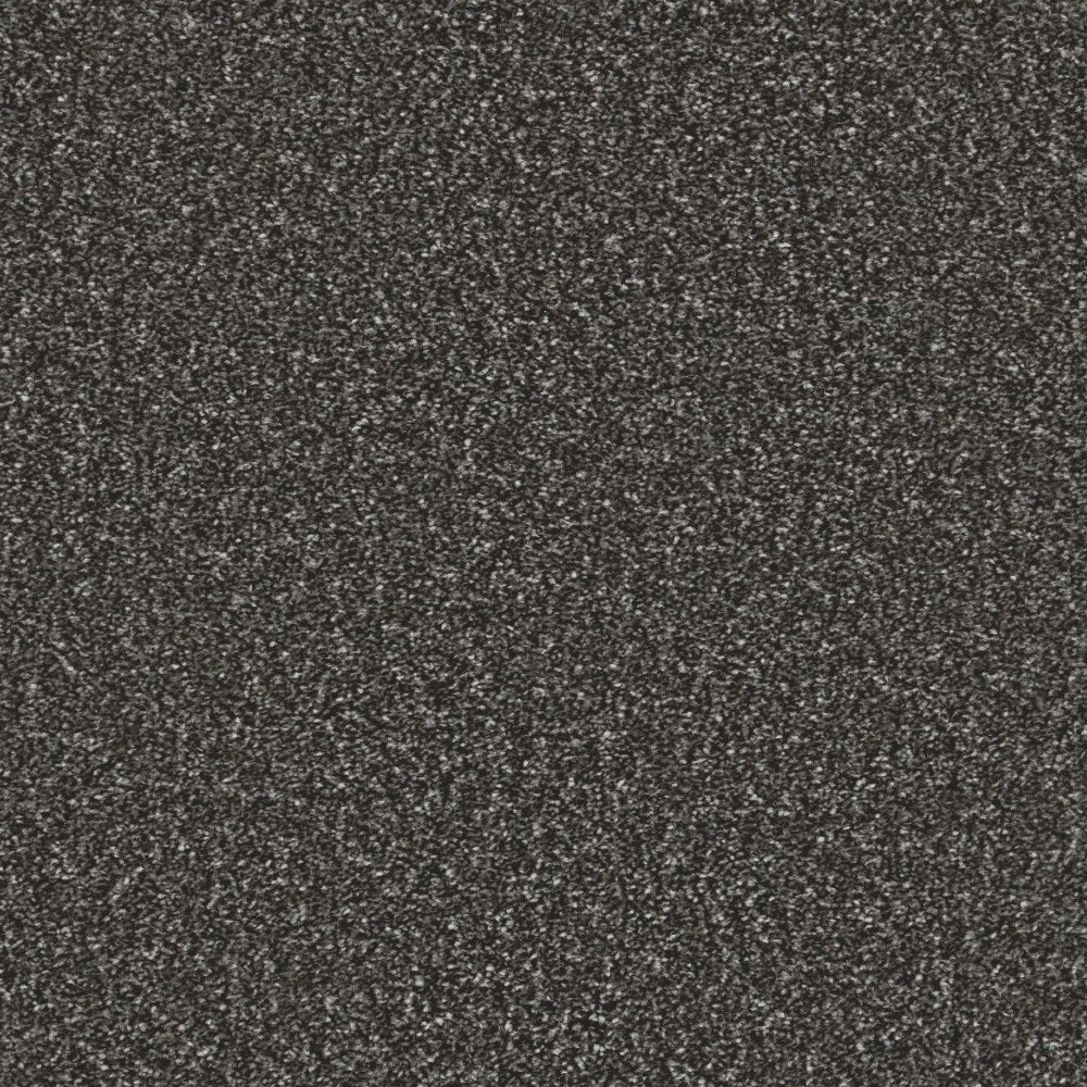 Essential Saxony Charcoal Frost