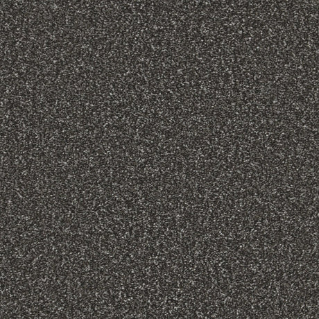 Essential Saxony Charcoal Frost