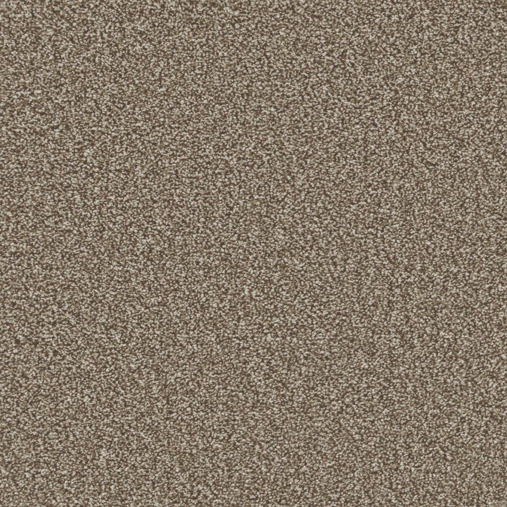 Essential Saxony Forest Taupe