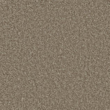 Essential Saxony Forest Taupe