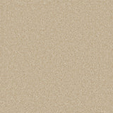 Essential Saxony Linseed