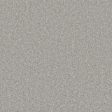 Essential Saxony Pale Dove