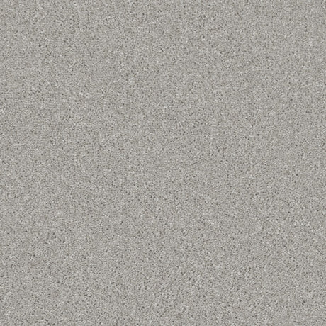 Essential Saxony Pale Dove