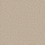 Essential Saxony Sand Drift