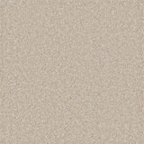 Essential Saxony Soft Lace
