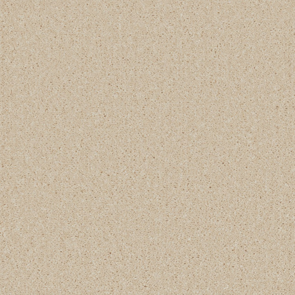 Essential Saxony Vanilla Cream