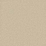 Essential Saxony Vanilla Cream