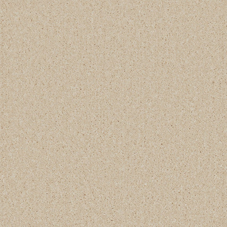 Essential Saxony Vanilla Cream