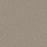 Essential Twist Classic Taupe