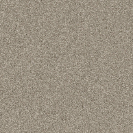 Essential Twist Classic Taupe