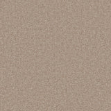 Essential Twist Honey Pine