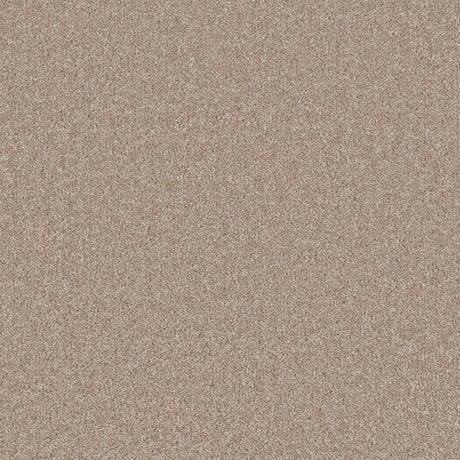 Essential Twist Honey Pine