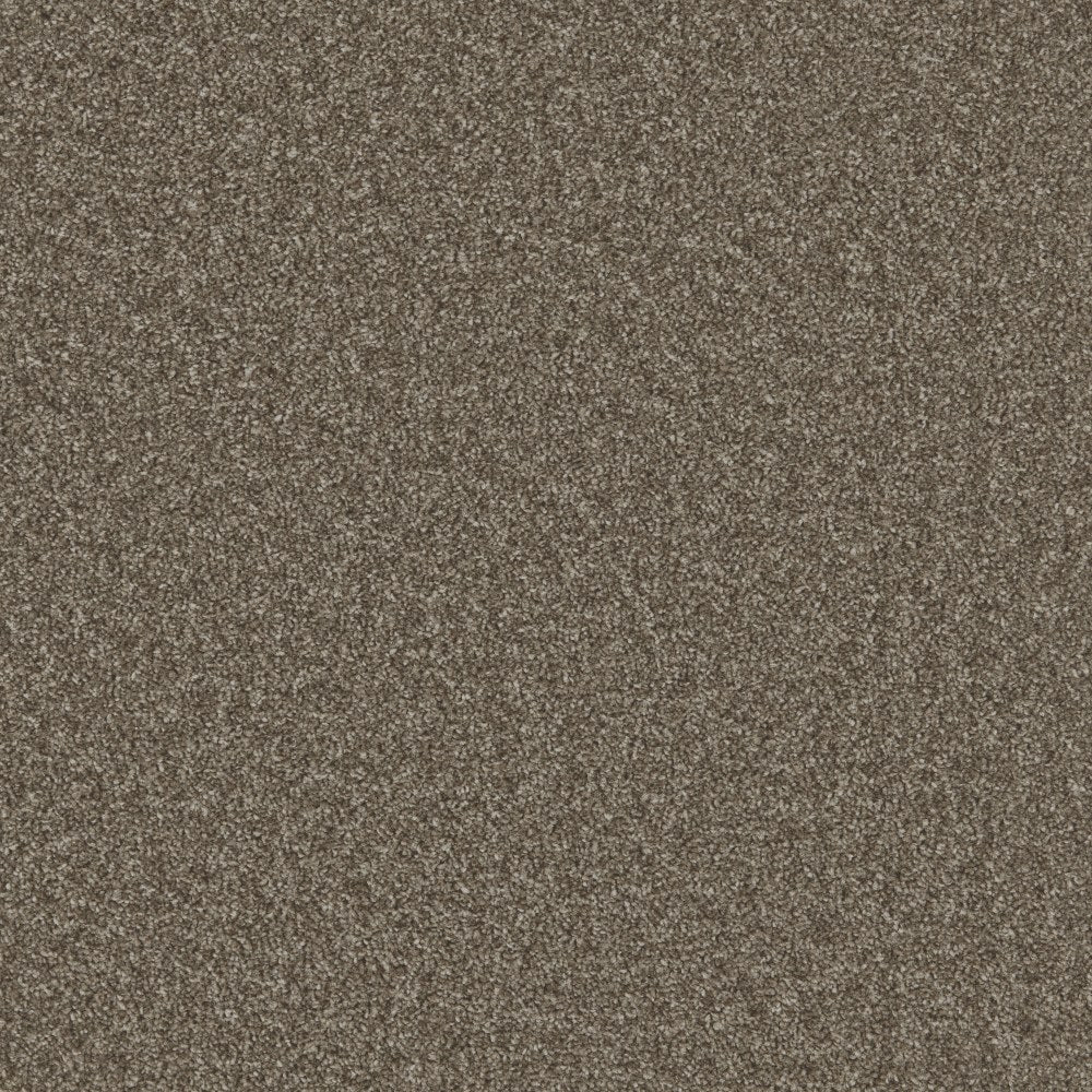Essential Twist Roasted Walnut