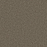 Essential Twist Roasted Walnut