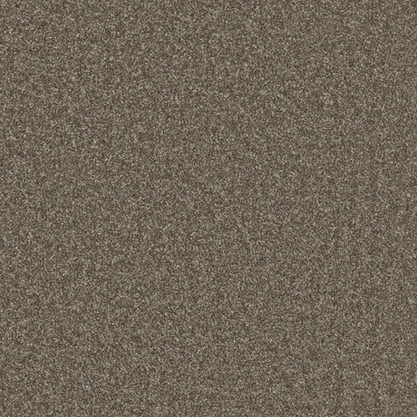 Essential Twist Roasted Walnut
