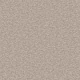 Essential Twist Warm Alabaster
