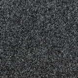 Primavera Anthracite