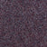Primavera Plum