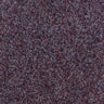 Primavera Plum