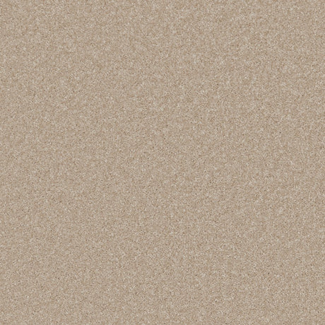 Provence Deluxe Alpaca