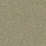 Provence Deluxe Olive
