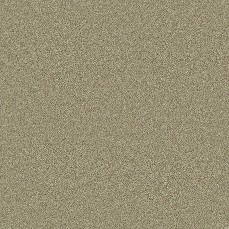 Provence Deluxe Olive