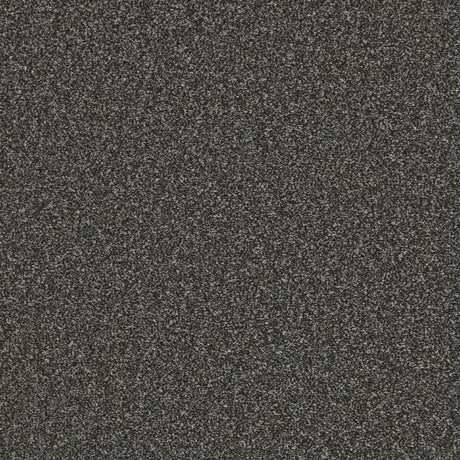 Provence Deluxe Starlight
