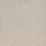 Satisfaction Ultra Bleachstone