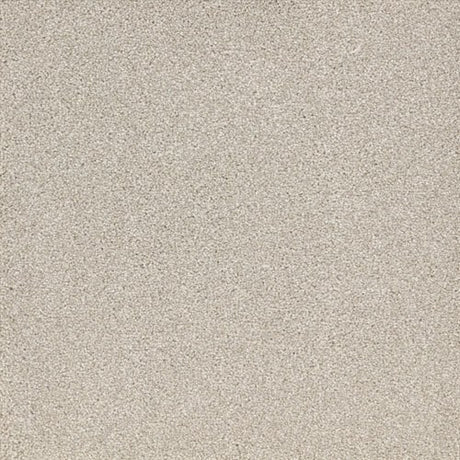 Satisfaction Ultra Bleachstone