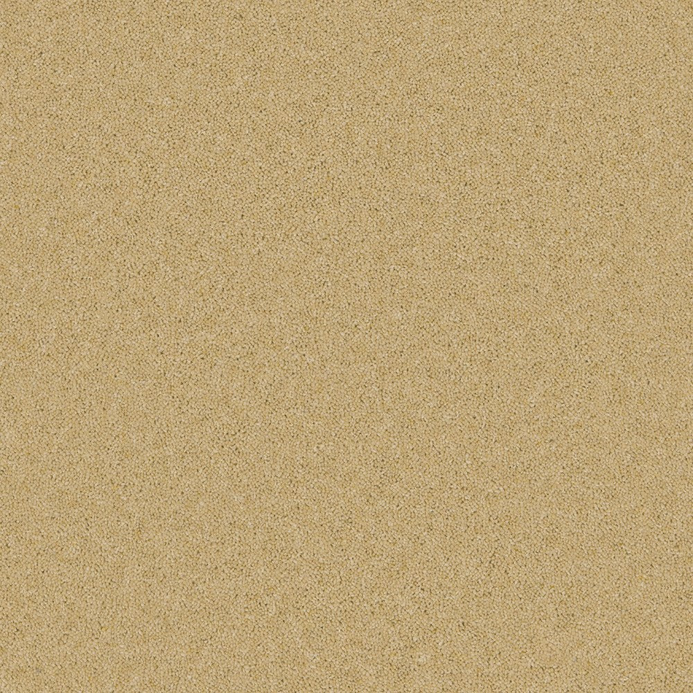 Timeless Deluxe Classic Clay