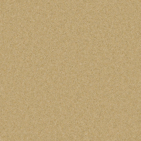 Timeless Deluxe Classic Clay