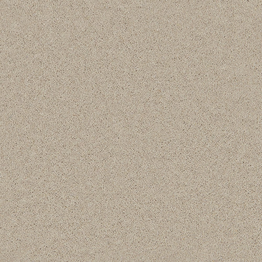Timeless Deluxe Cotton Cloud